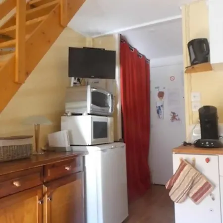 Azur Sancy Skis Aux Pieds Apartment Le Mont-Dore